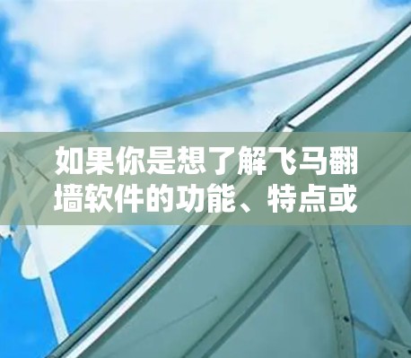 如果你是想了解飞马翻墙软件的功能、特点或其他相关信息，以下是一些可能的内容