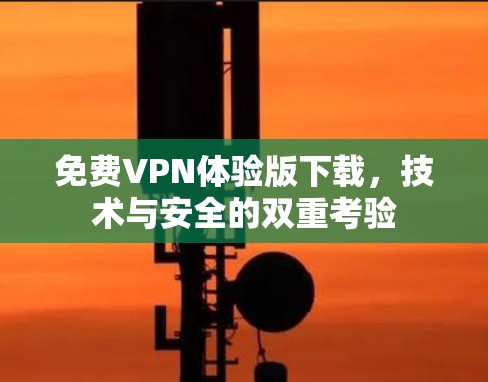 免费VPN体验版下载，技术与安全的双重考验