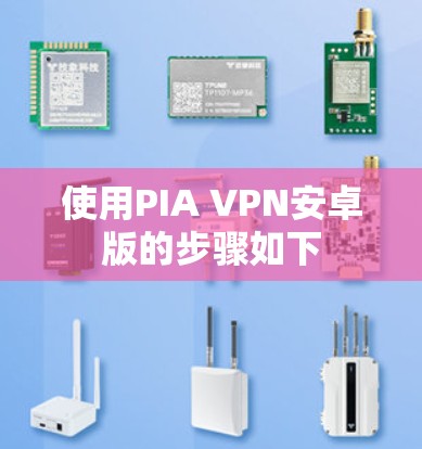 使用PIA VPN安卓版的步骤如下