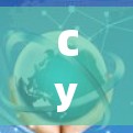 CyberGhost VPN 提供了多种服务器类型和分类，以满足不同用户的需求。以下是 CyberGhost VPN 的服务器分类及其说明